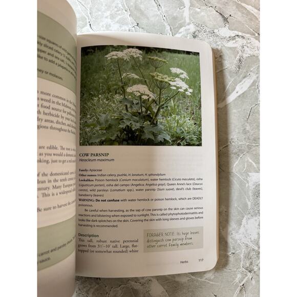 Foraging the Rocky Mountains : Finding, Identifying, and Prep Liz Brown Morgan - Picture 3 of 6